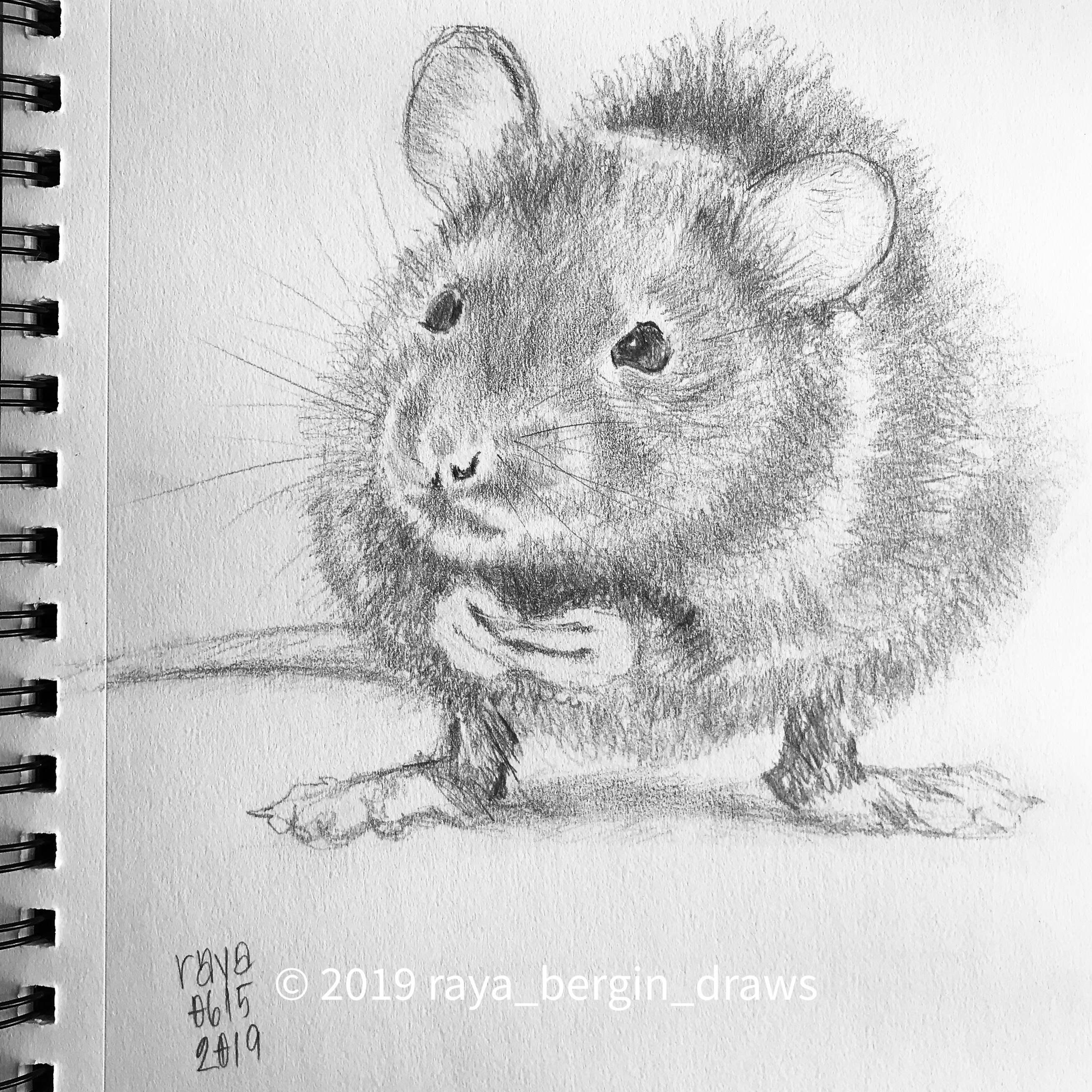 Graphite drawing Remy