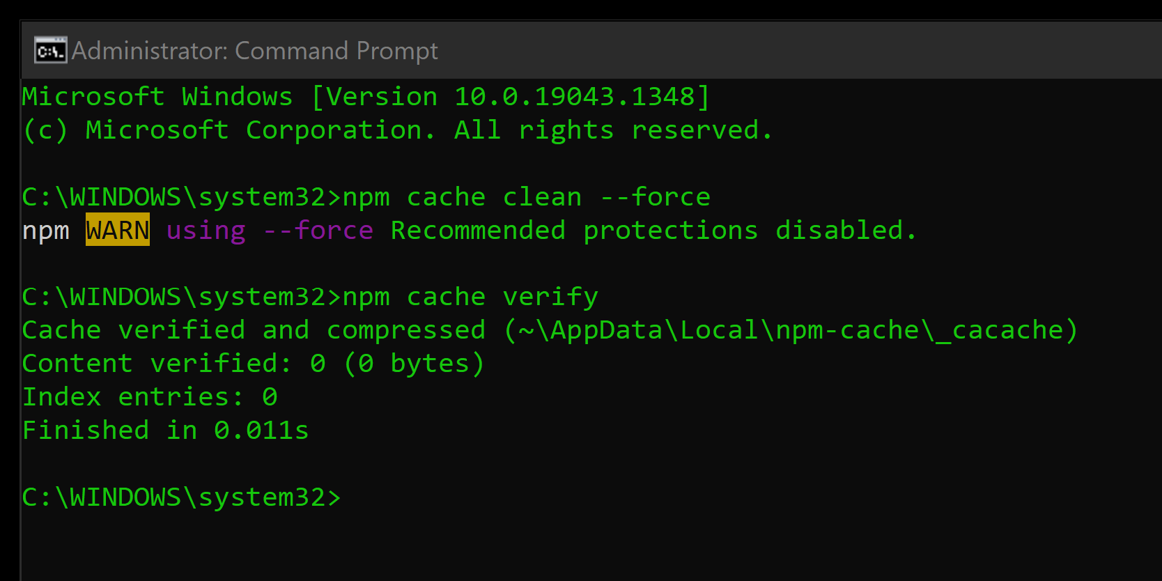 CLI npm cache verify